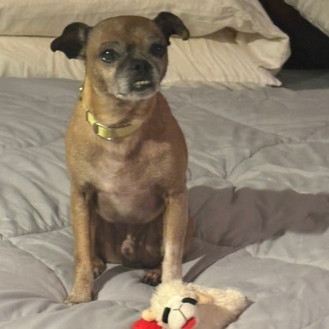 Frankie, additional photo