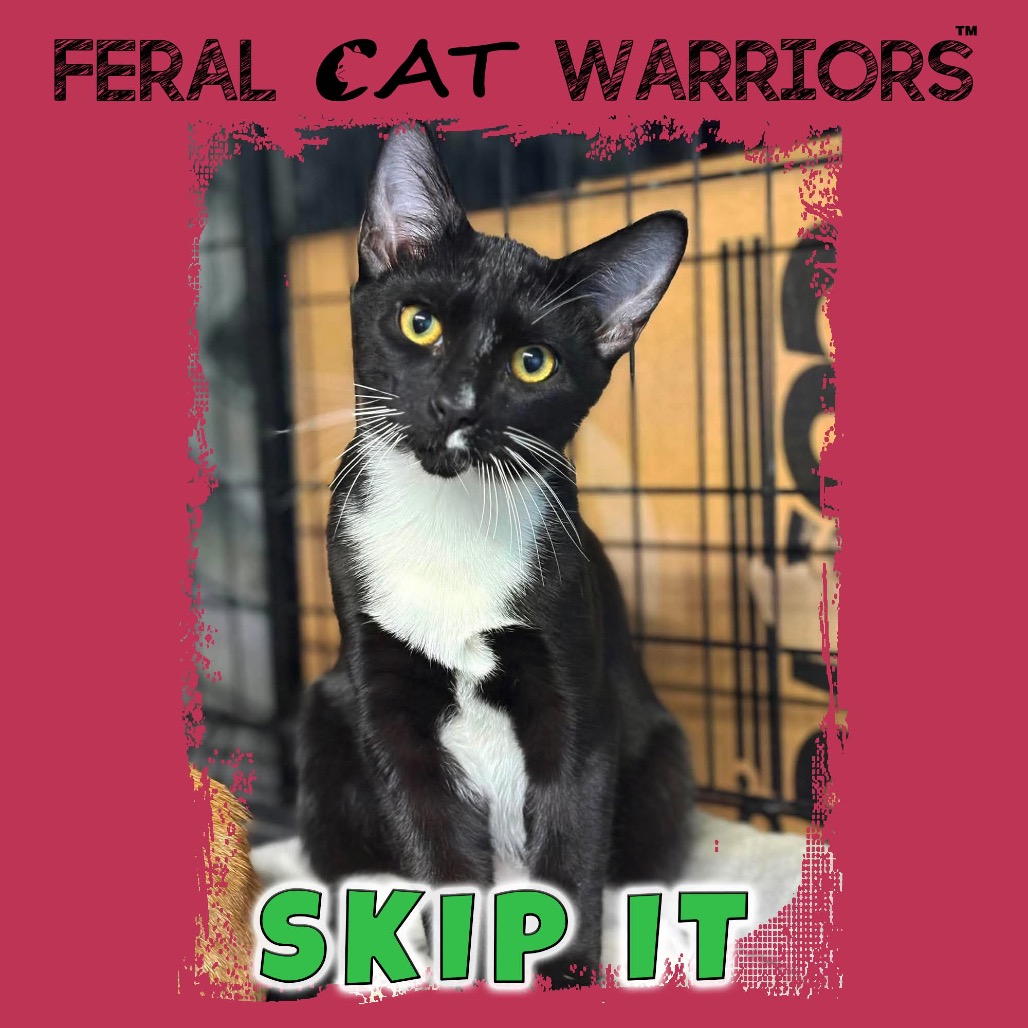 Skip It 