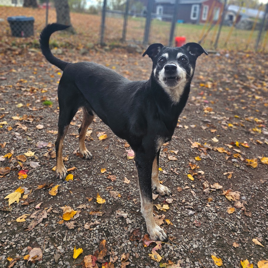 Rocco, photo 19