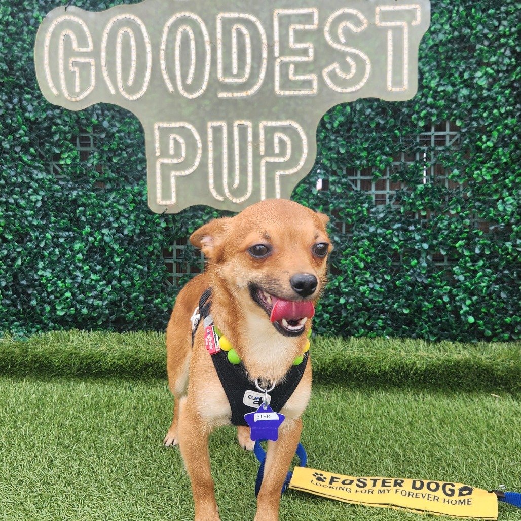 Peter — thumbnail 3