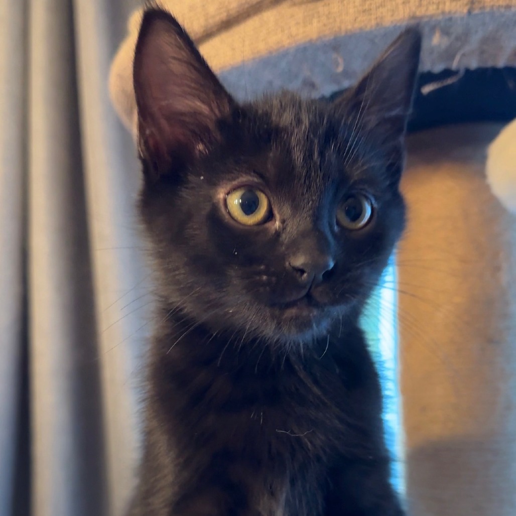 Barry