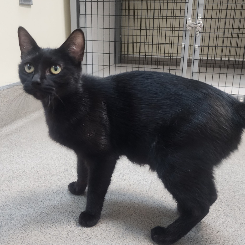  A#49 Vanta's preview photo