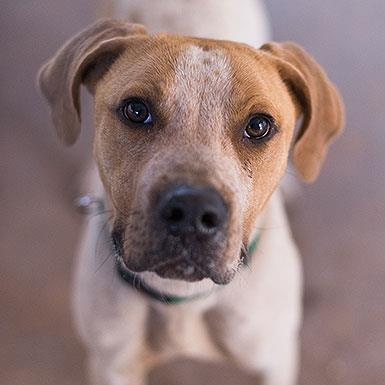 Titus, photo 12