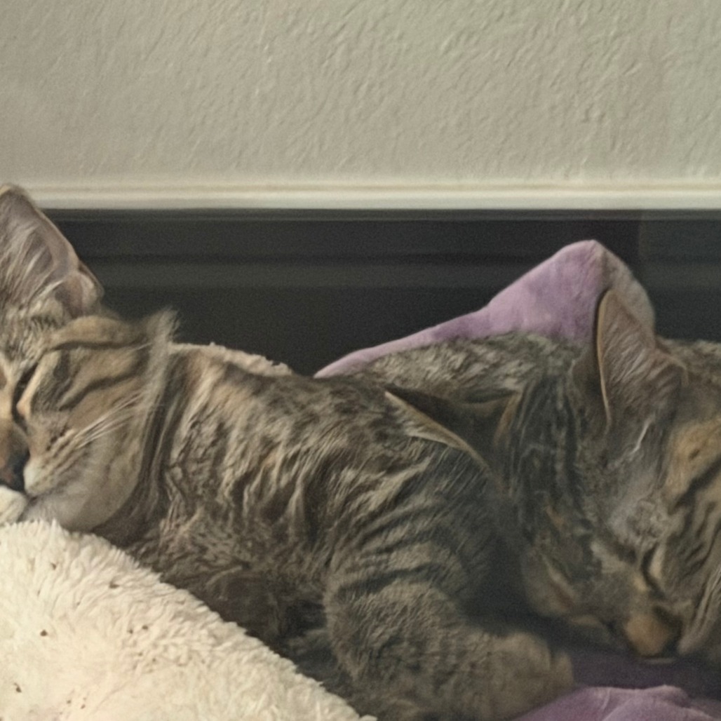 Louise, photo 12