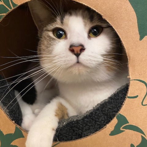 Jenna — thumbnail 2