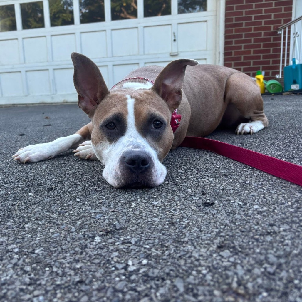 Isabella (formerly Diamond), photo 11