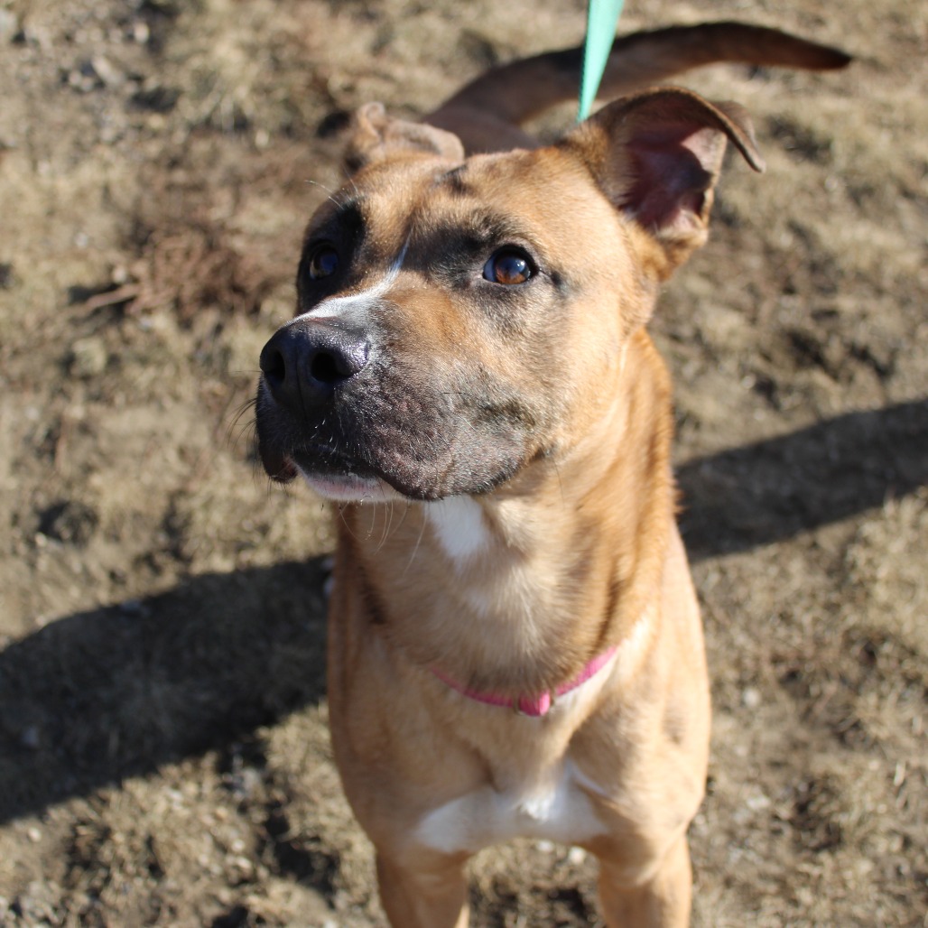 Marcus — thumbnail 5