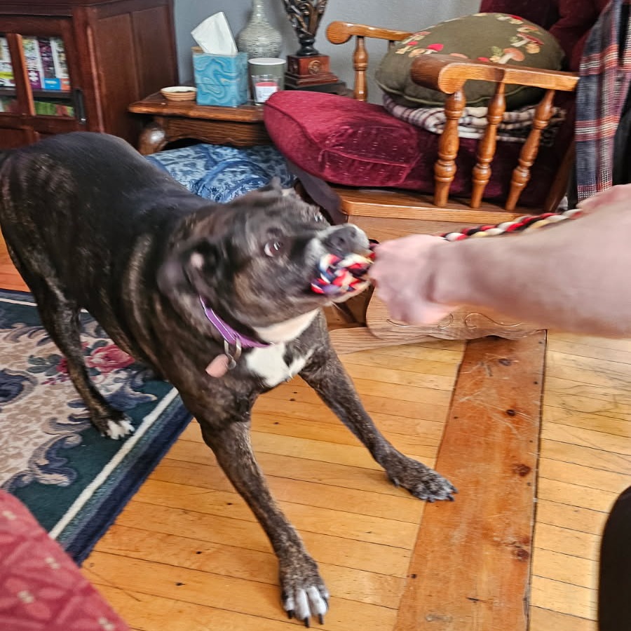 Baby Girl--In Foster, photo 6