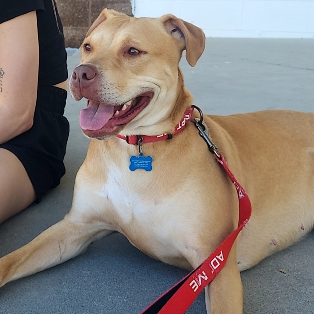 fcb106bb258fe646b40aa621d3a183b9