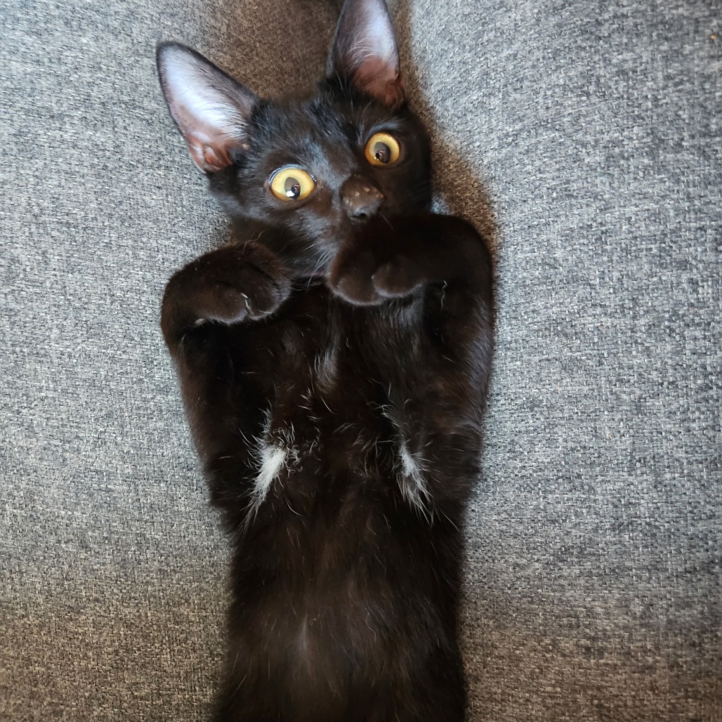 Just Raisins, photo 23