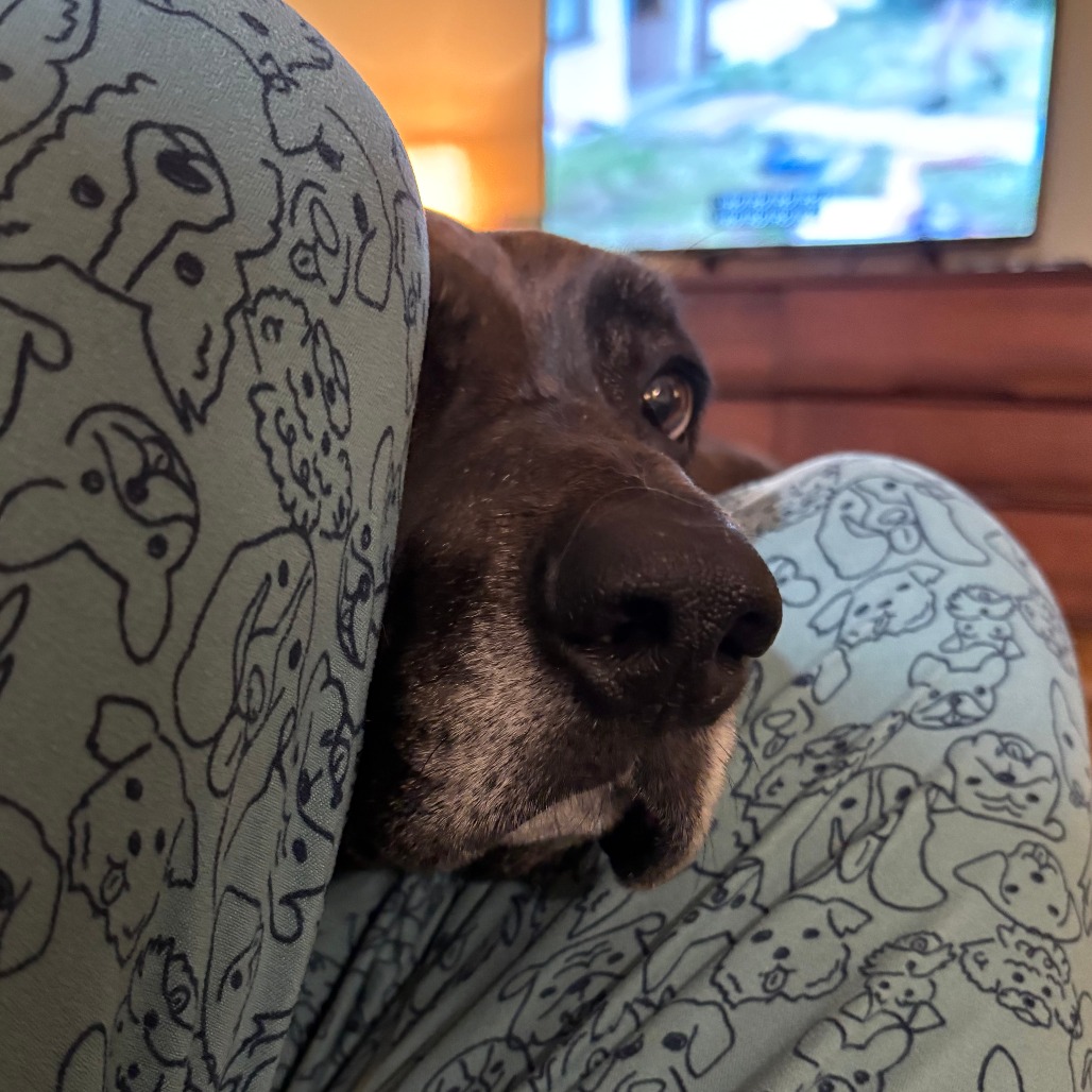 Missy, photo 9