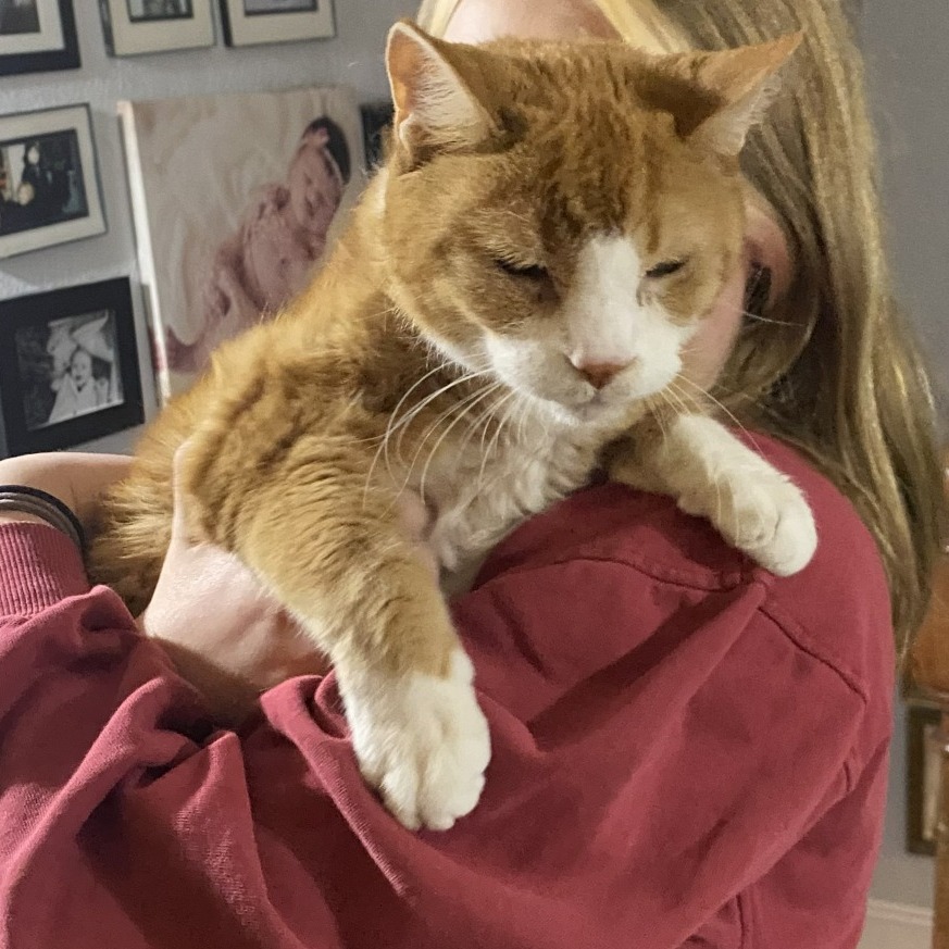 b8ac209b02774e53975f1f321cf7b7f7