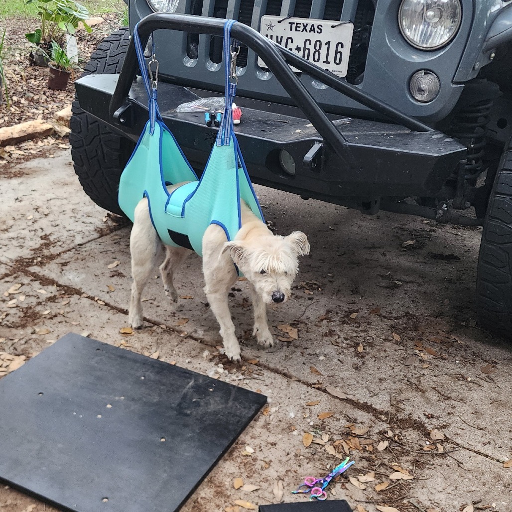 Scrappy, additional photo