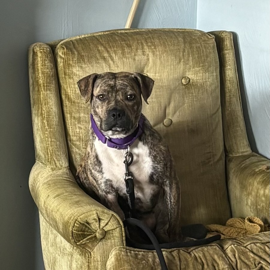 Photo of Baby Stripes 15