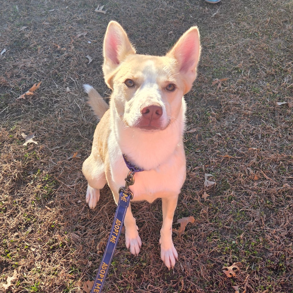 Leah — thumbnail 3