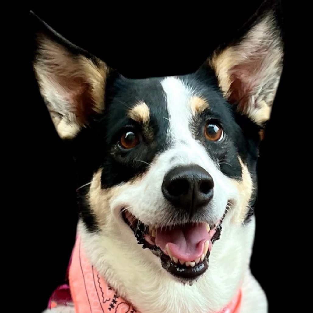 Yuma, photo 23