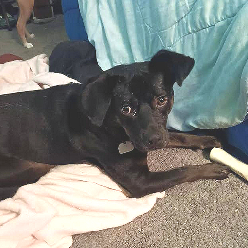 Odin — thumbnail 10