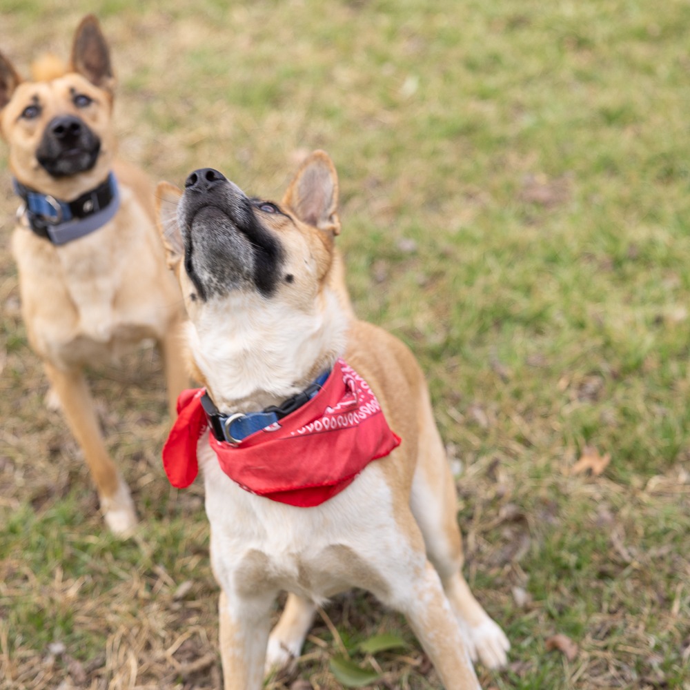 Rain — thumbnail 11