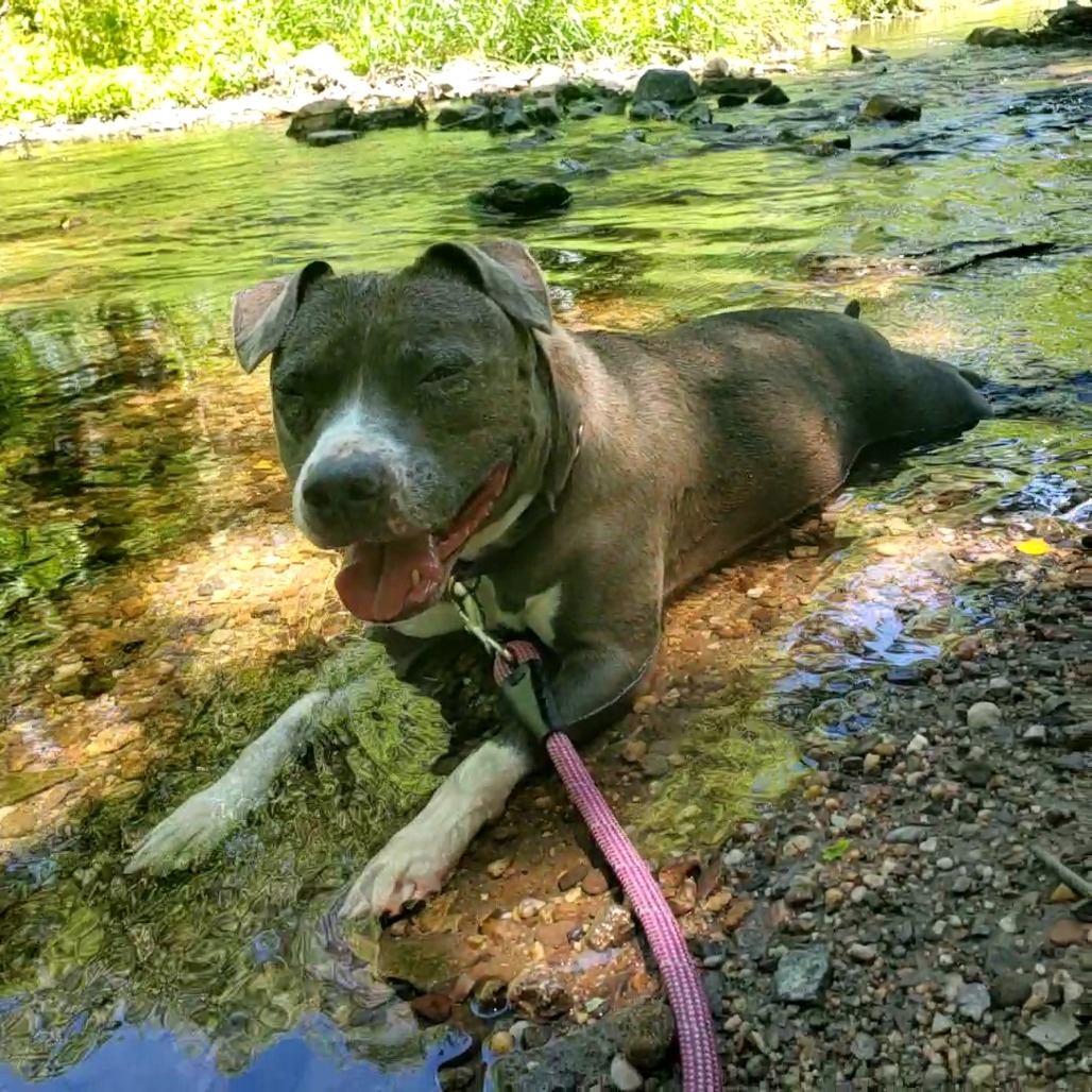 Wednesday - IN FOSTER, photo 9