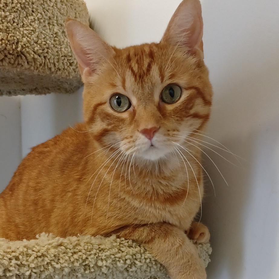 Photo of Mack playing