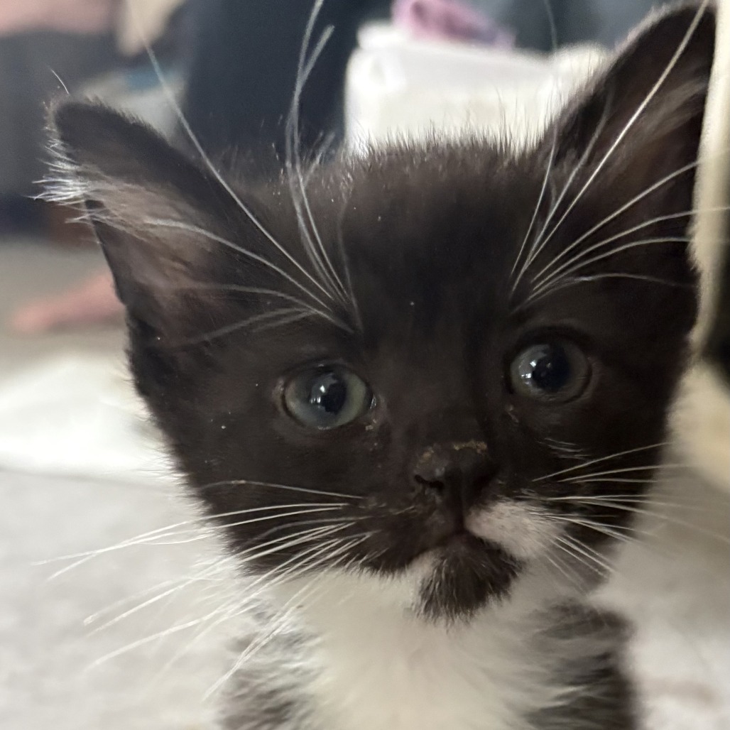 93532c9c5cb65cee743625ee2cfbae7d