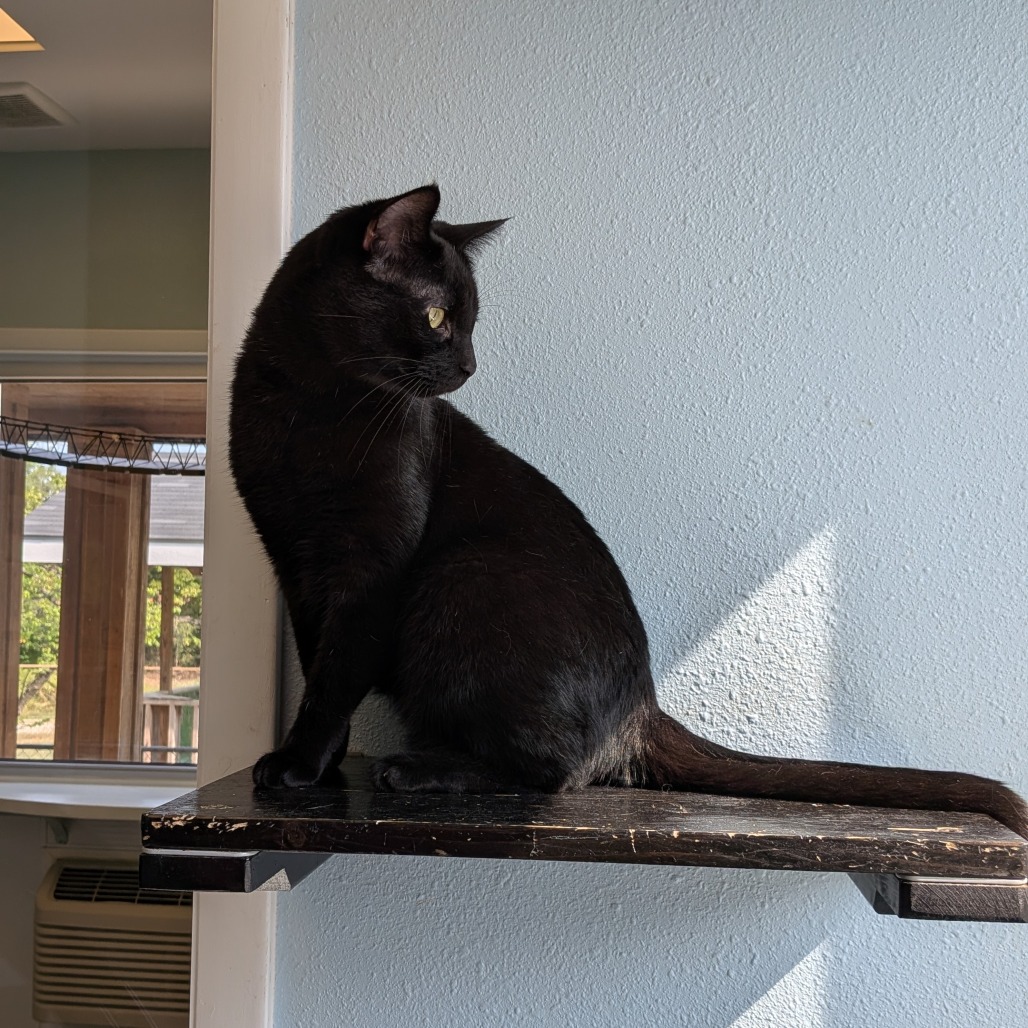Jag