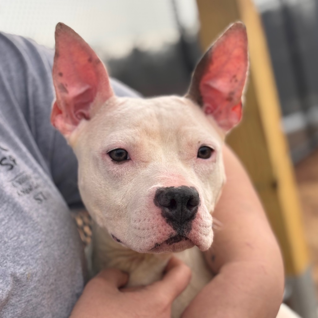 2157fcdec8ec65c66b0df3db21d8f2e8