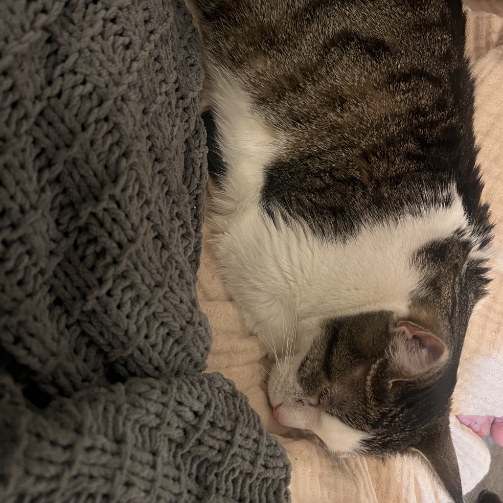 Carmie — thumbnail 3