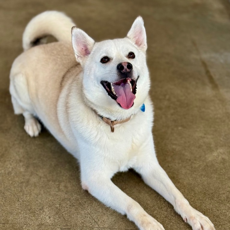 Image of Austin looking at the camera