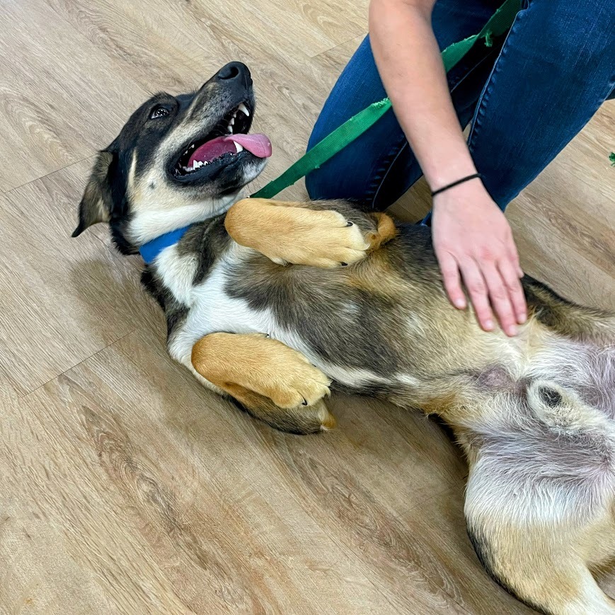 Maverick — thumbnail 3