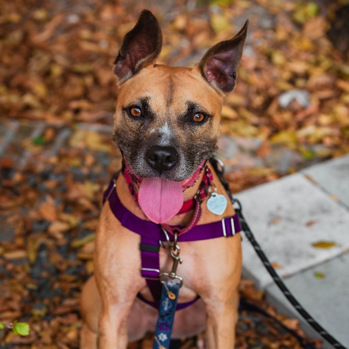 Full body shot of Sammy