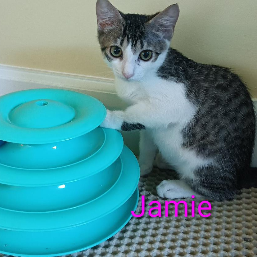 Jamie