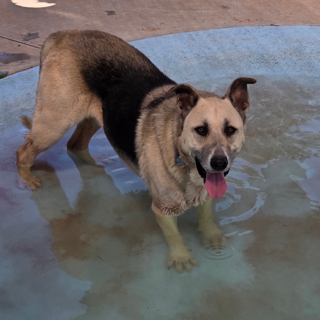 Zuko, photo 4