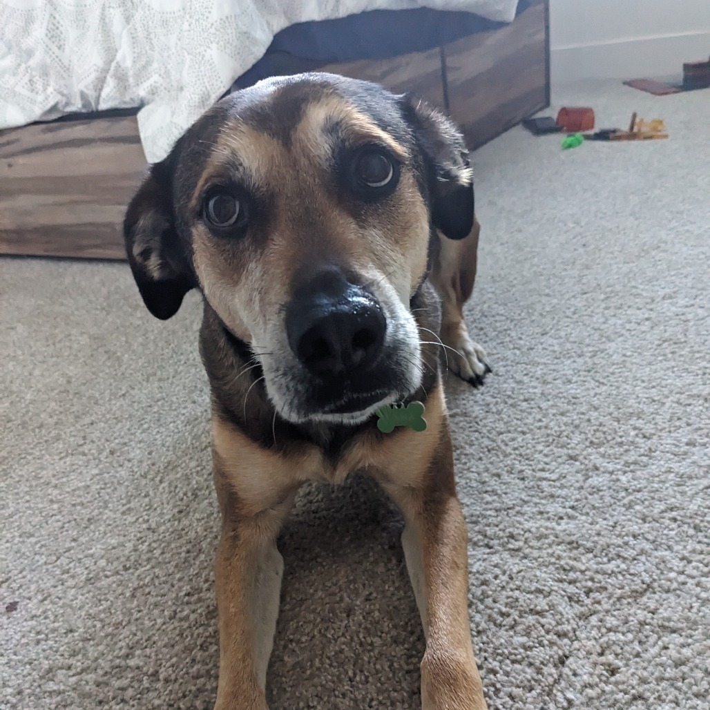 Lana (Courtesy Posting) — thumbnail 3