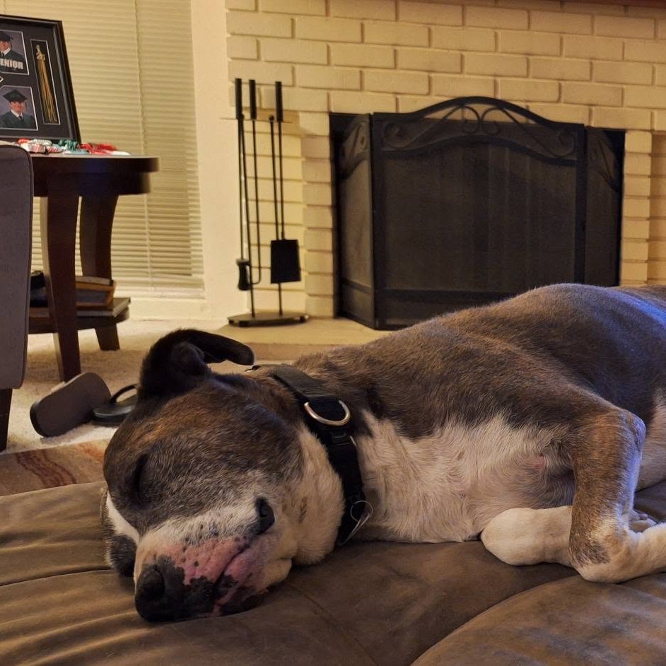 Gumbo, photo 23
