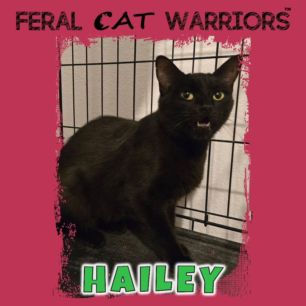 Hailey