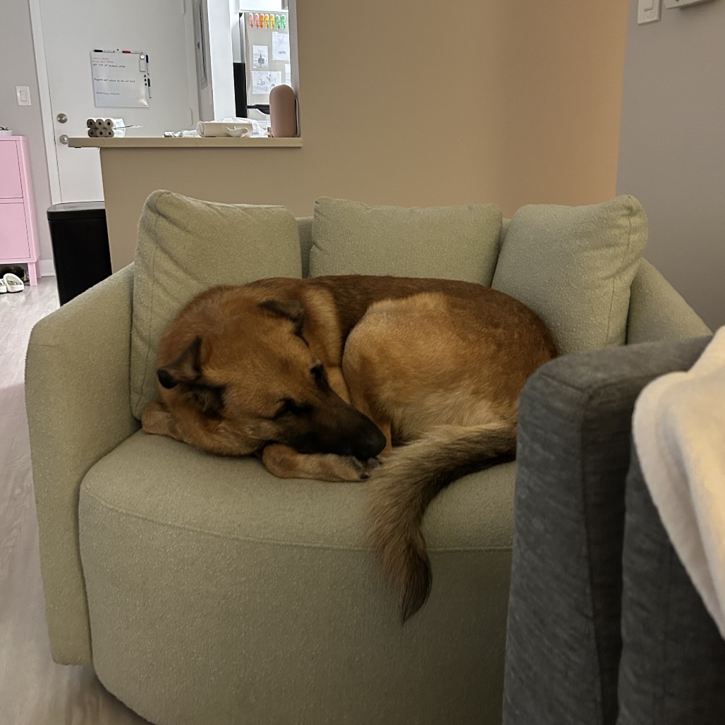 Totoro — thumbnail 5