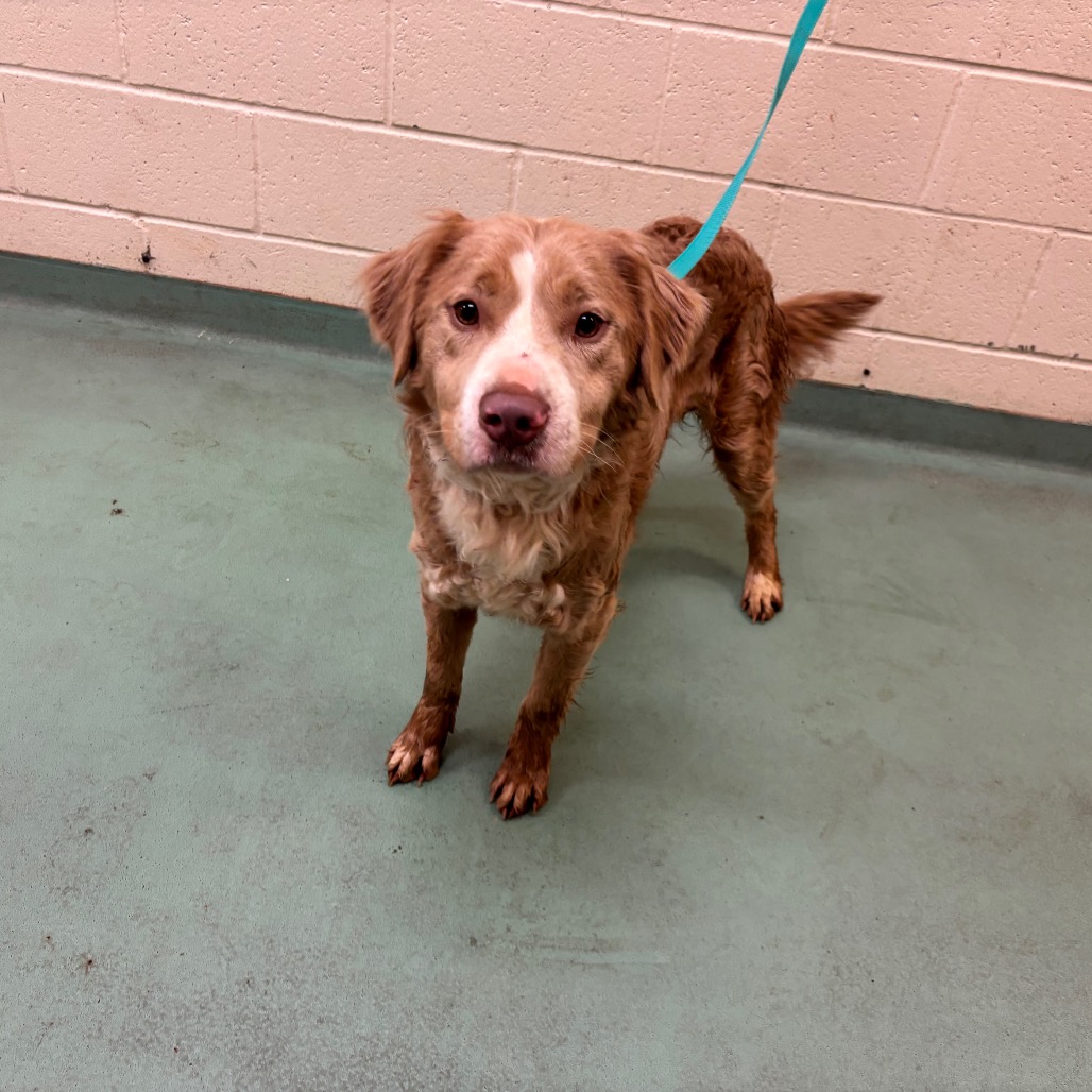 Sunny — thumbnail 17