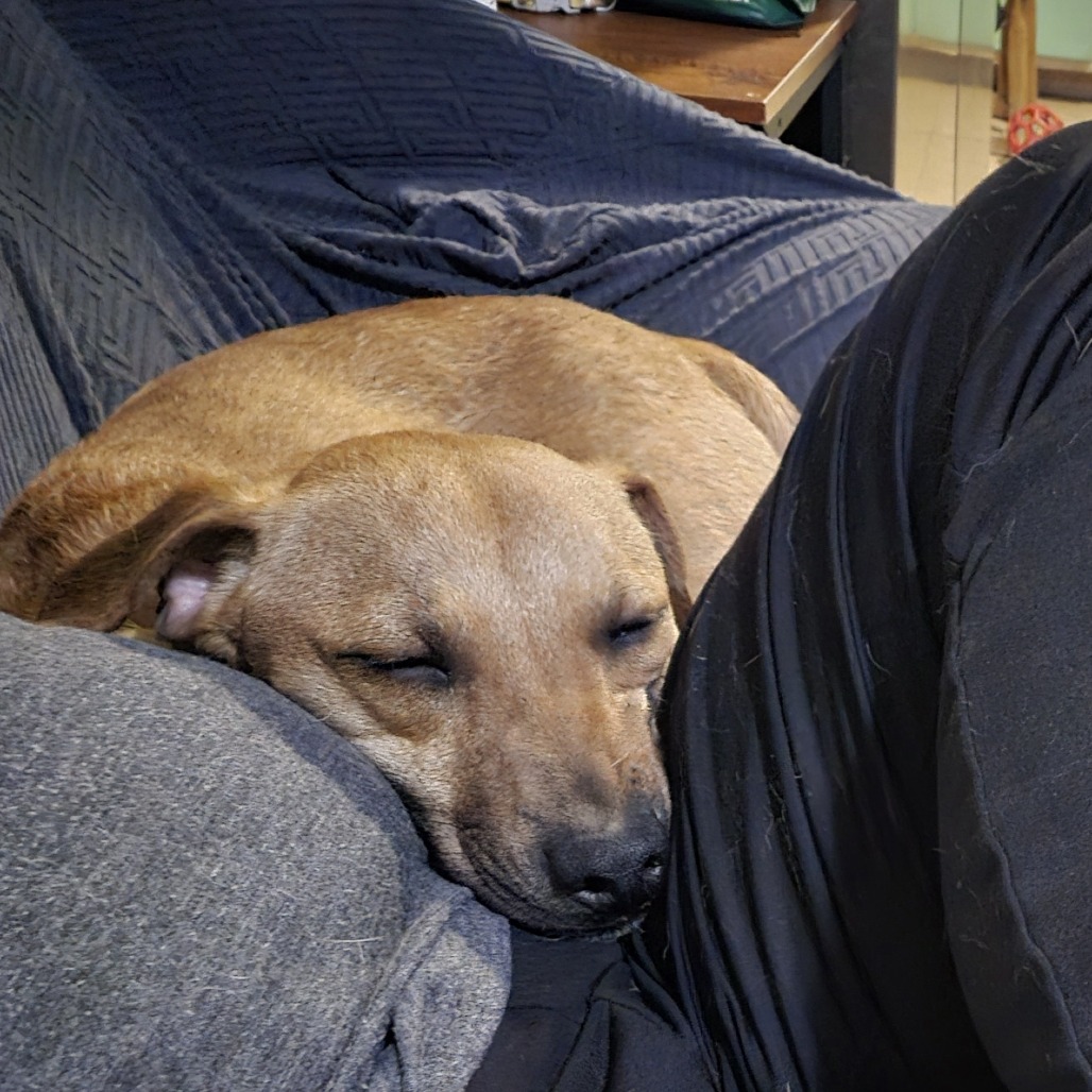 Henry — thumbnail 3