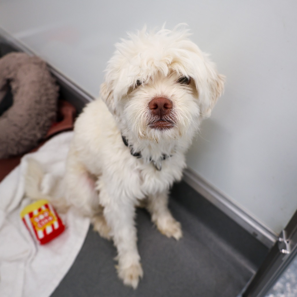 Lazio — thumbnail 3