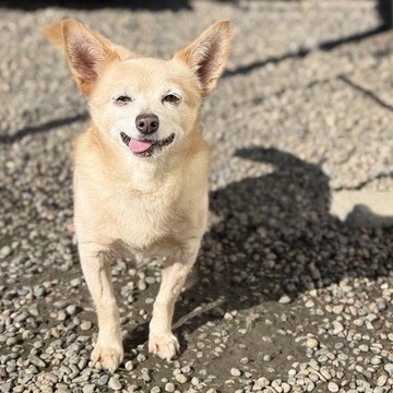 Horacio — thumbnail 3