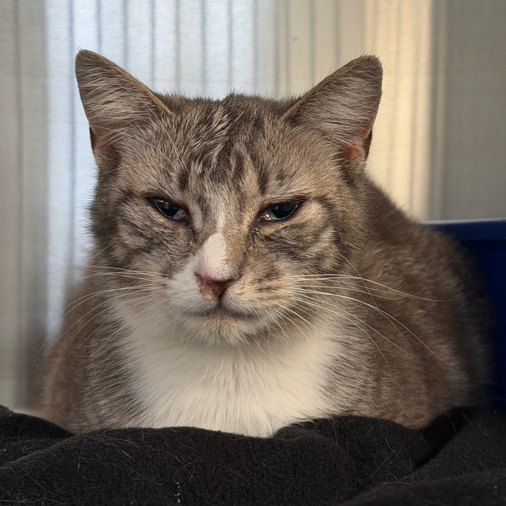 C#44's preview photo