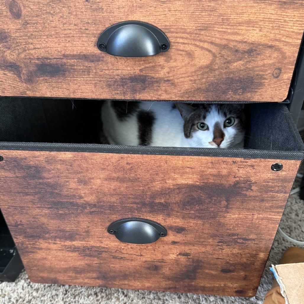 Karma-Foster, photo 9