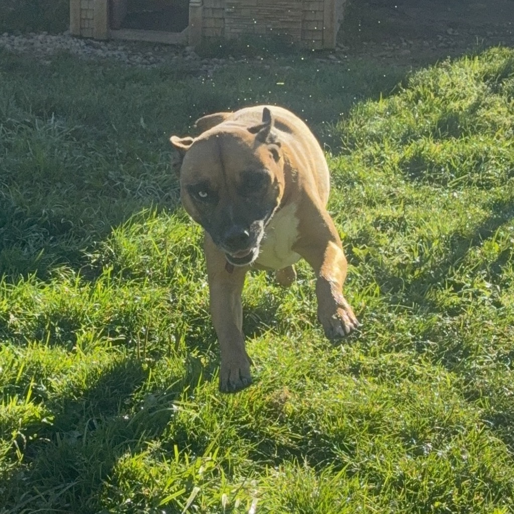 Dale (formally Cliff), photo 6