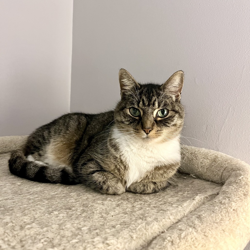 Luna — thumbnail 3