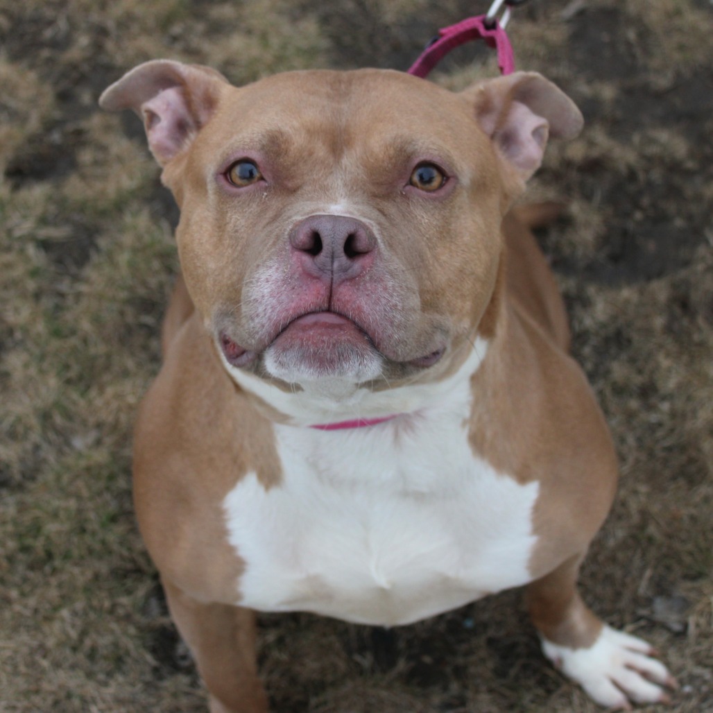 Belle — thumbnail 3