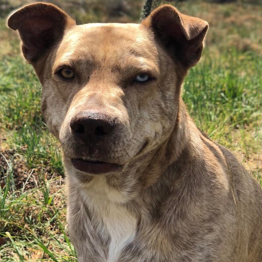 Photo of Sprinkle
