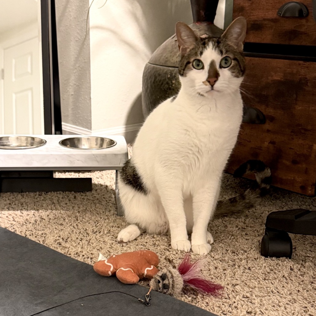 Karma-Foster, photo 7