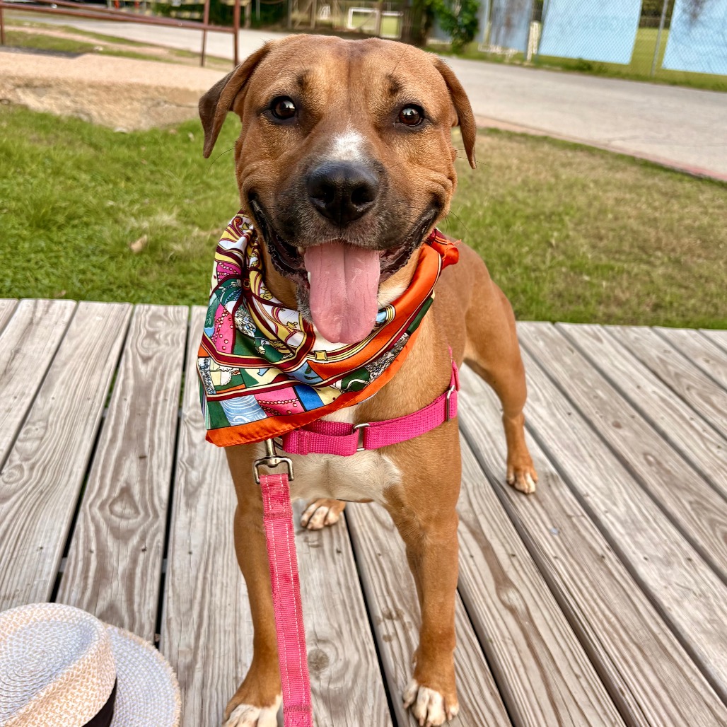 Tomlin — thumbnail 8