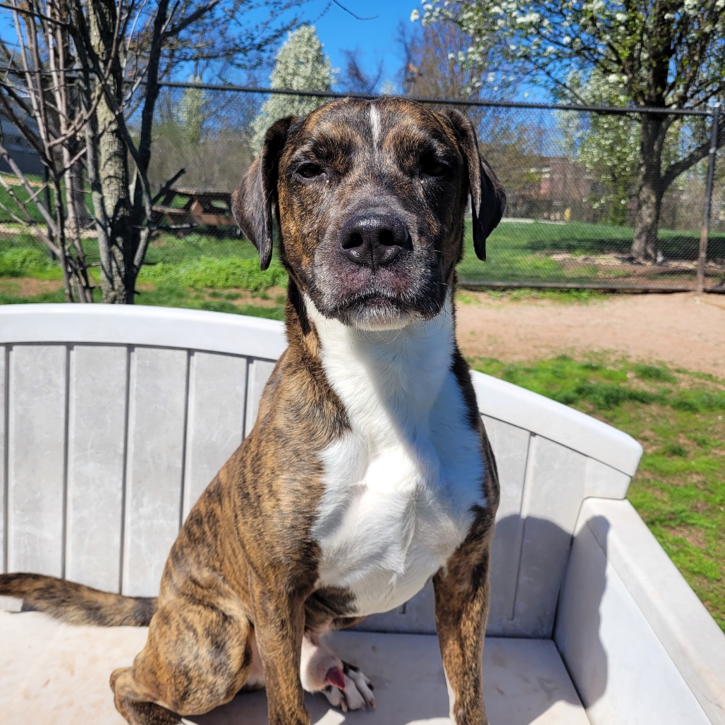 c62624d5e1c6b6f2b9ec280a8a0de351